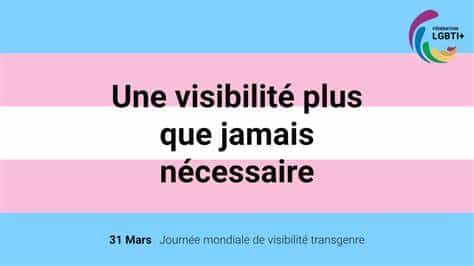 Chaque 31 mars c'est la journée mondiale de la visibilité transgenre. Découvre ses origines, les avancées dans la société et les défis
